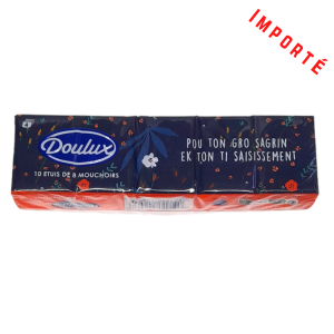 Mouchoir 4 plis pocket x10