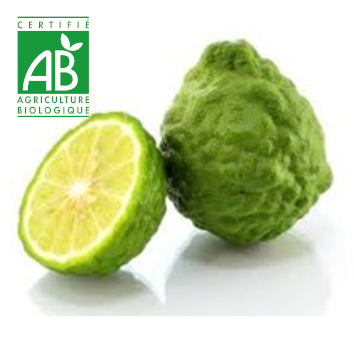 Combava BIO x1
