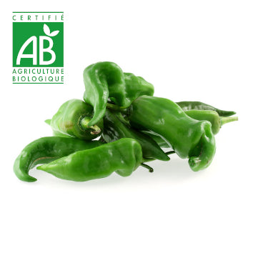 Gros piment BIO ~100g