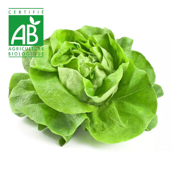 Salade BIO x1 (pour Jeudi)