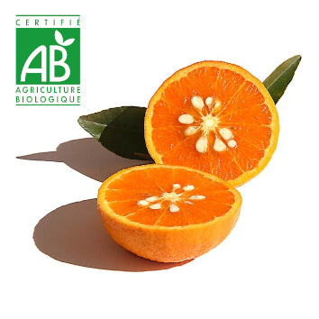 Tangor BIO ~750g