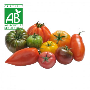 Tomate ancienne BIO ~500g