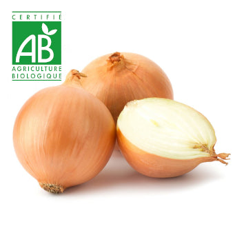 Oignon péi BIO ~300g