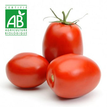 Tomate allongée BIO ~500g
