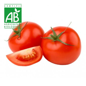 Tomate ronde BIO ~500g