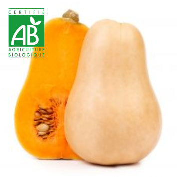 Courge butternut BIO ~400g