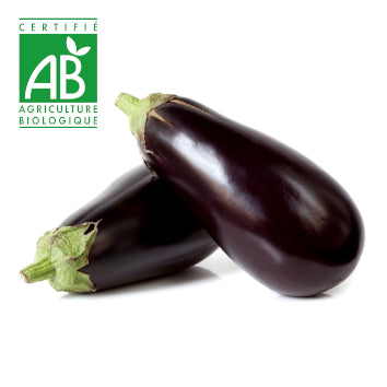 Aubergine BIO ~600g