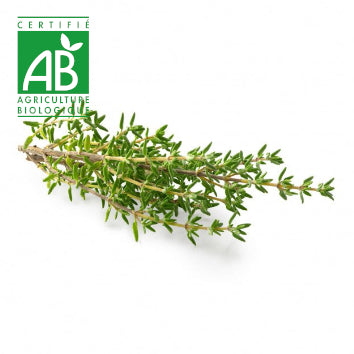 Thym BIO x1 paquet