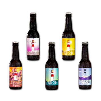 Pack découverte 5 Bières Dalons