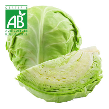 Chou vert BIO ~750g