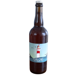 Bière Dalons IPA 5,5% 75cl