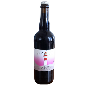 Bière Dalons Stout 5% 75cl