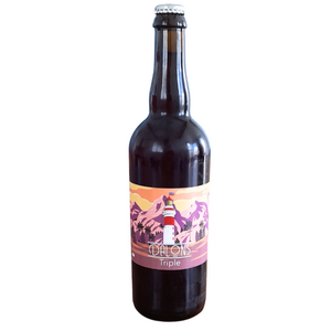 Bière Dalons Triple 8% 75cl