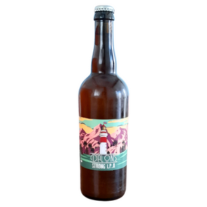 Bière Dalons Strong IPA 7.5% 75cl