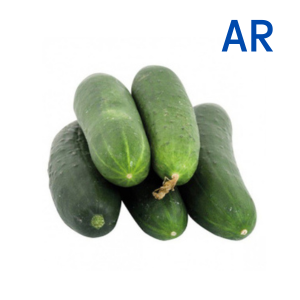 Concombre maraîcher x1