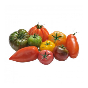 Tomate ancienne ~500g