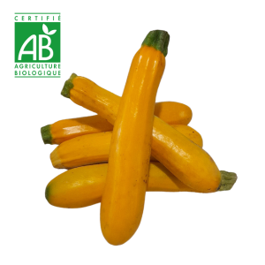 Courgette jaune BIO ~600g