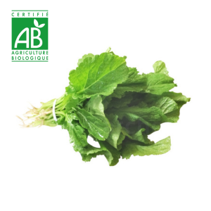 Brèdes Moutarde BIO x1 botte