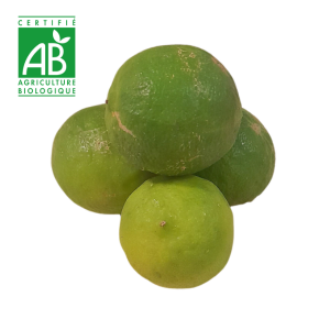 Lime de Rodrigues BIO x1