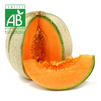 Melon BIO x1 ~700g