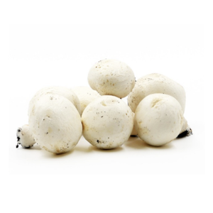 Petits champignons de Paris ~250g