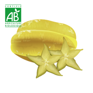 Carambole BIO ~500g