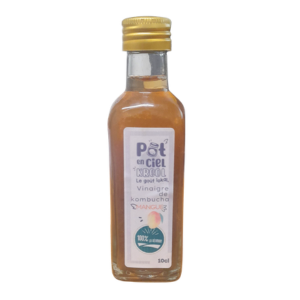 Vinaigre de kombucha mangue 10cl