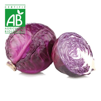 Chou rouge BIO ~750g