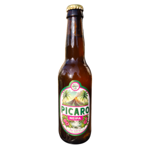 Bière NEIPA 4,5% 33cl