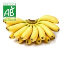 Banane mignonne BIO ~500g