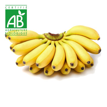 Banane mignonne BIO ~500g