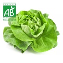 Salade BIO x1 (pour Mercredi)