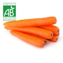 Carottes sans fanes BIO ~750g