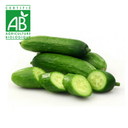 Mini concombre BIO ~500g