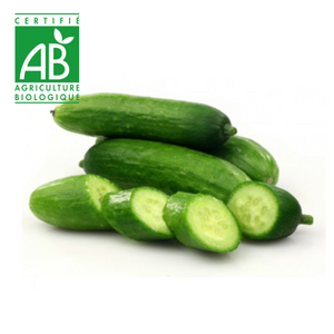 Mini concombre BIO ~500g