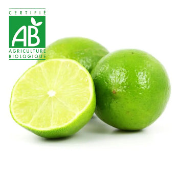 Citron galet BIO x1