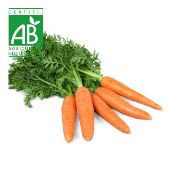 Carotte avec fanes BIO ~750g