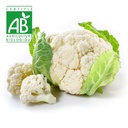 Chou-fleur BIO x1