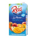 Nectar Tropical brique 1L