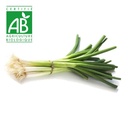 Oignon vert BIO x1 paquet