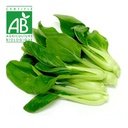 Brèdes Chou de chine BIO x1 botte