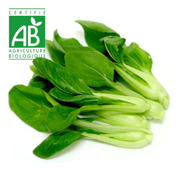 Brèdes Chou de chine BIO x1 botte