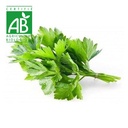 Coriandre BIO x1 paquet