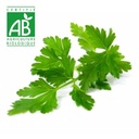 Persil BIO x1 paquet