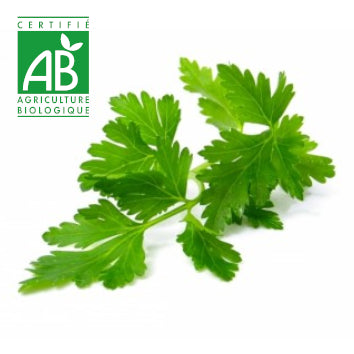 Persil BIO x1 paquet