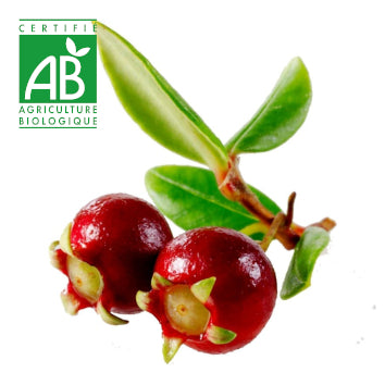 Goyavier BIO (250g)