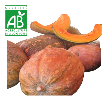 Citrouille BIO ~1kg