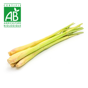 Citronnelle BIO x1 paquet