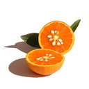 Tangor ~750g