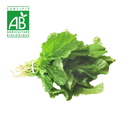 Brèdes Moutarde BIO x1 botte
